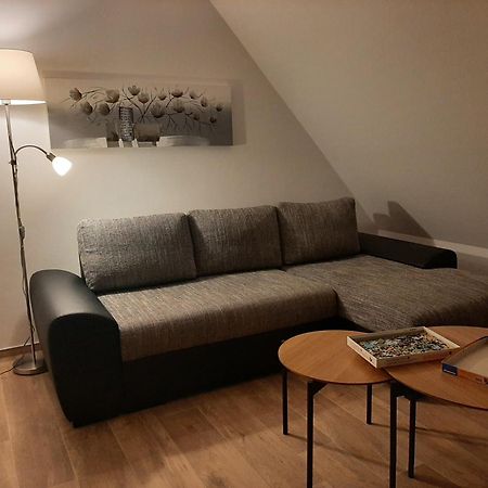 3 Zimmerwohnung Am Neuer Teich ولفسبورج المظهر الخارجي الصورة